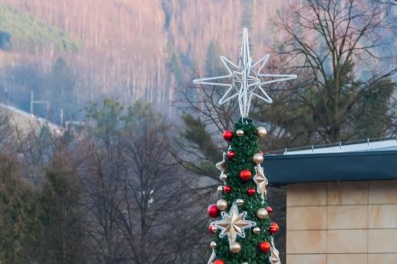 Rozświetlenie choinki na Placu Hoffa
